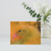 Awaked Ducking Briefkaart (Staand voorkant)