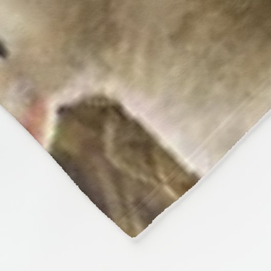 AWAY op EEN MANGER Fleece Deken (Hoek)