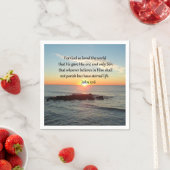 AWE-INSPIRING JOHN 3:16 SUNRISE SERVETTEN (Insitu)