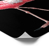 Awesome Cool Flamingo With Christmas Hat And Sungl Poster (Hoek)