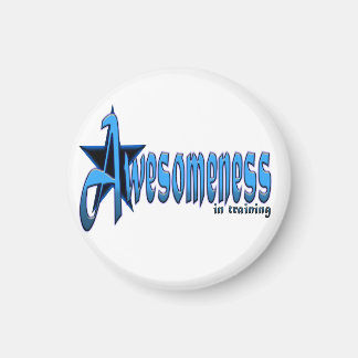 Awesomeness in Training Motivatie Magnet