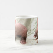 Awkward Aardvark Mok (Center)