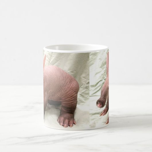 Awkward Aardvark Mok (Center)