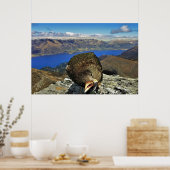 Awnery Kea Poster (Keuken)