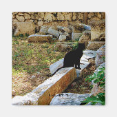 aWorld2Celebrate: Black Cat Appreciation Day Magneet (Voorkant)