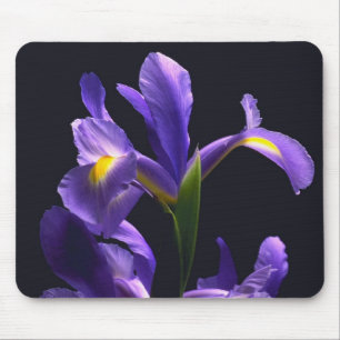 Awsome, paarse Iris Muismat