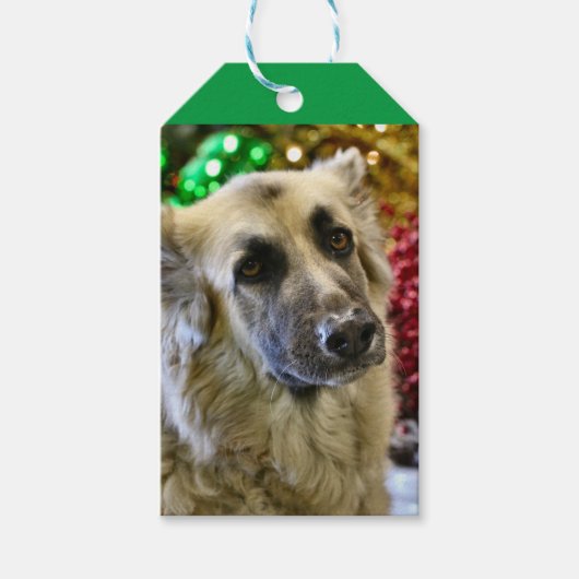 Aww Cadeaulabel (Voorkant)