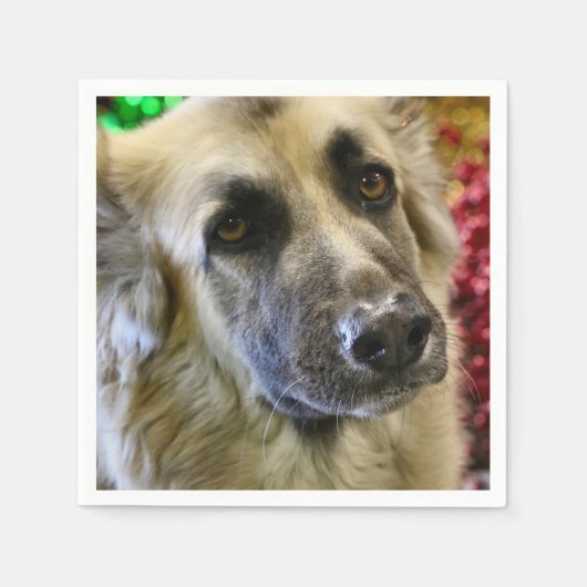 Aww Servet (Voorkant)