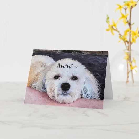 AWW WORD GOED KAART (Gele Bloem)