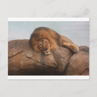 Awwsome Lion Briefkaart