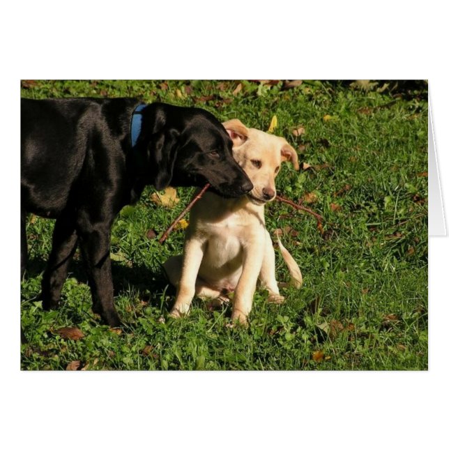 Awww...Do moet ik delen? (Voorkant Horizontaal)