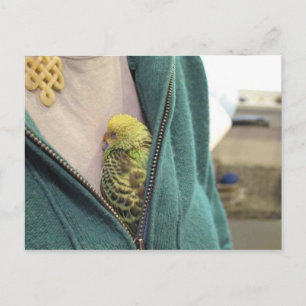 Awww, dus Cute!!!!!!!!! Briefkaart