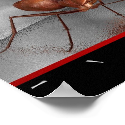 AWxxWtC Poster (Hoek)