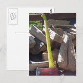 Ax Briefkaart (Voorkant / Achterkant)