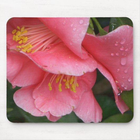 AX-Roze Camelia flower mousepad Muismat (Voorkant)