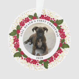Axel's eerste kerstversiering ornament