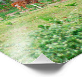 Axis Deer-foto Foto Afdruk (Hoek)