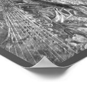 AXIS MUNDI POSTER (Hoek)