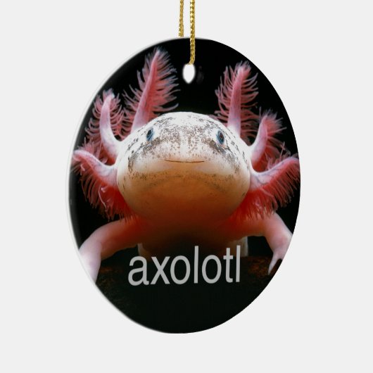 Axolotl Axolotl Axolotl Axolotl Keramisch Ornament (Rechts)