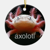 Axolotl Axolotl Axolotl Axolotl Keramisch Ornament (Voorkant)