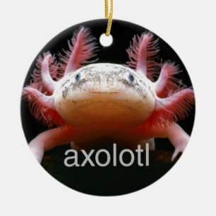 Axolotl Axolotl Axolotl Axolotl Keramisch Ornament