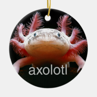 Axolotl Axolotl Axolotl Axolotl Keramisch Ornament