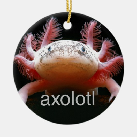 Axolotl Axolotl Axolotl Axolotl Keramisch Ornament (Voorkant)