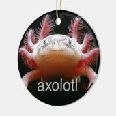 Axolotl Axolotl Axolotl Axolotl Keramisch Ornament (Links)