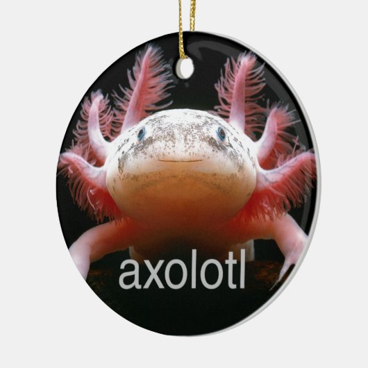 Axolotl Axolotl Axolotl Axolotl Keramisch Ornament (Links)