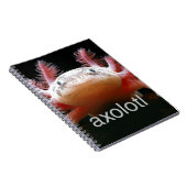 Axolotl Axolotl Axolotl Axolotl Notitieboek (Rechterzijde)