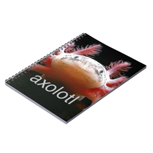 Axolotl Axolotl Axolotl Axolotl Notitieboek (Linkerzijde)