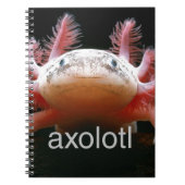 Axolotl Axolotl Axolotl Axolotl Notitieboek (Voorkant)