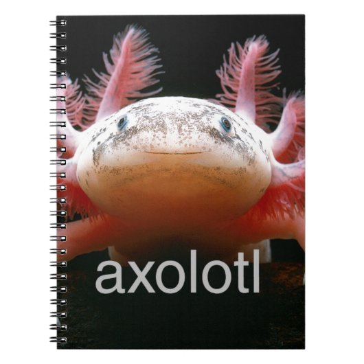 Axolotl Axolotl Axolotl Axolotl Notitieboek (Voorkant)