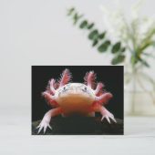 Axolotl Axolotl.png Briefkaart (Staand voorkant)