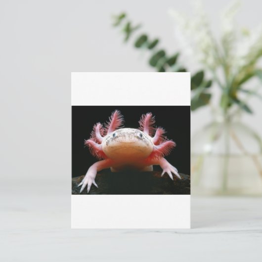 Axolotl Axolotl.png Briefkaart (Staand voorkant)