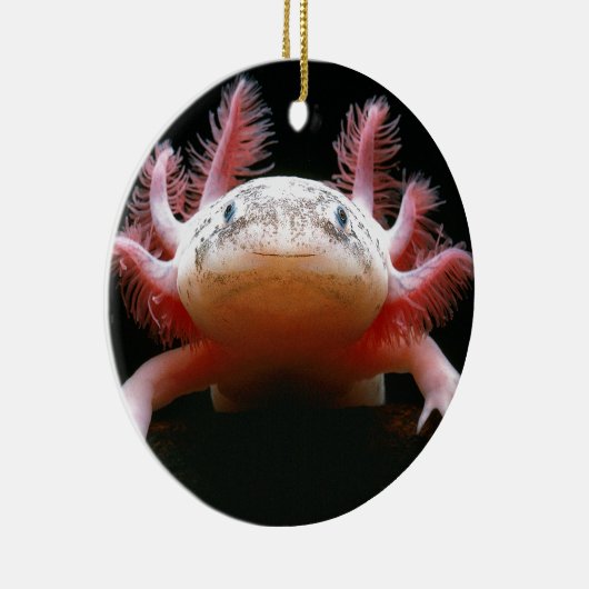 Axolotl Axolotl.png Keramisch Ornament (Rechts)