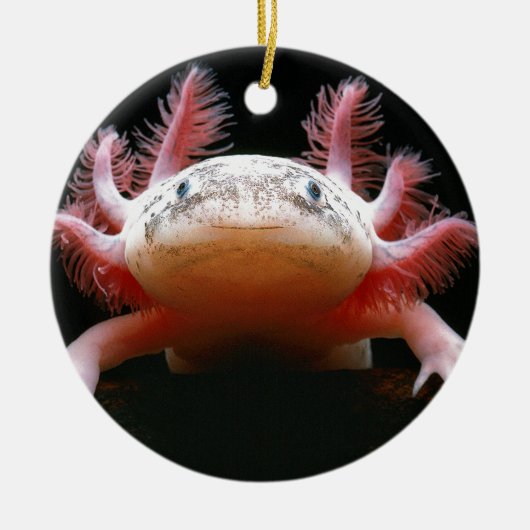 Axolotl Axolotl.png Keramisch Ornament (Voorkant)