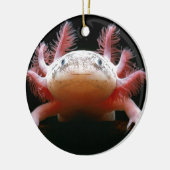 Axolotl Axolotl.png Keramisch Ornament (Links)
