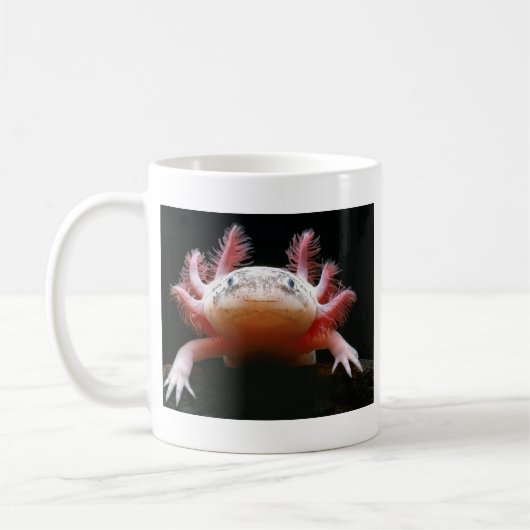 Axolotl Axolotl.png Koffiemok (Links)