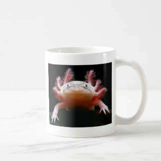 Axolotl Axolotl.png Koffiemok
