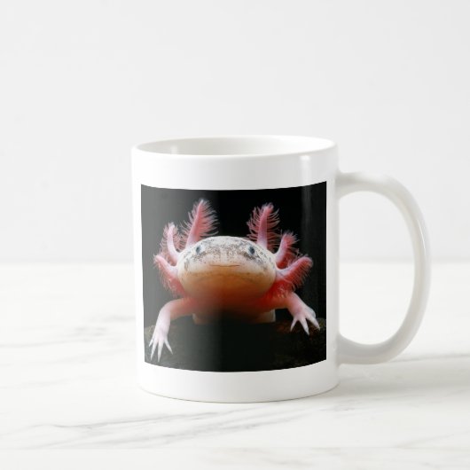 Axolotl Axolotl.png Koffiemok (Rechts)