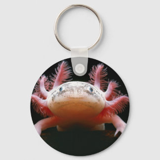 Axolotl Axolotl.png Sleutelhanger