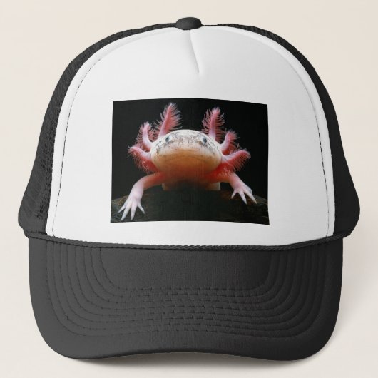 Axolotl Axolotl.png Trucker Pet (Voorkant)