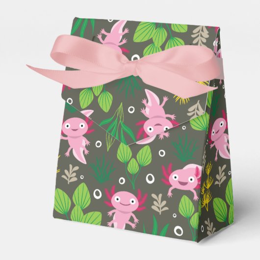 Axolotl Favor Box Bedankdoosjes (Voorkant Zijde)