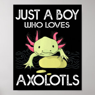 Axolotl Gift Anime Japans, een jongen die van een Poster