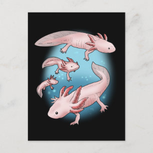 Axolotl Gift Kinderen Kawaii Axolotl Gifts Mannen  Briefkaart
