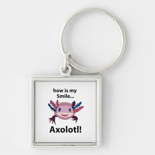 Axolotl Hoe is mijn glimlach grappig Axolotl Sleutelhanger (Voorkant)