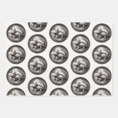 Axolotl Illustratie Inpakpapier Vel (Voorkant 3)