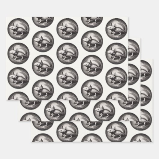 Axolotl Illustratie Inpakpapier Vel (Set)