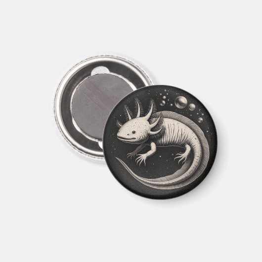 Axolotl  Illustratie Magneet (Voorkant / Achterkant)